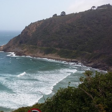 cropped-20161019_150917